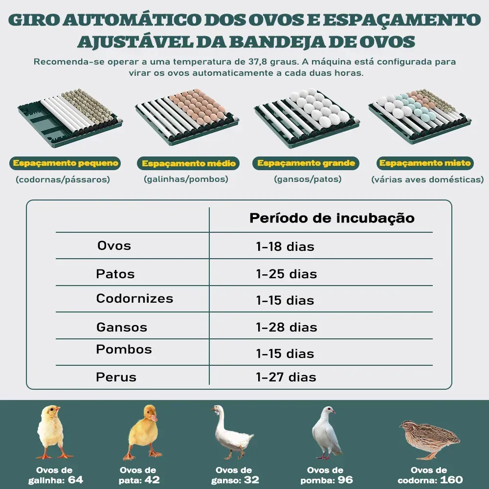Chocadeira Incubadora Automática para 130 Ovos 127/220 V — foto 2